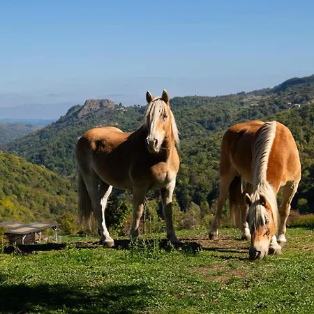 Au Bout Du Reve Dans Les Monts D'ardeche Holiday home *